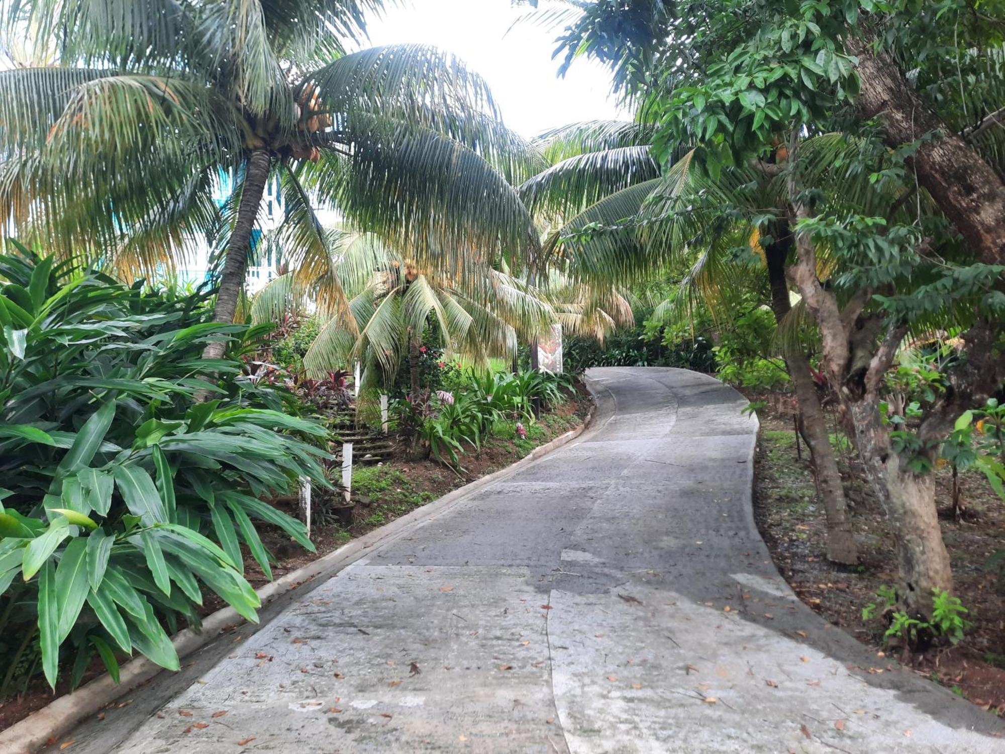 Guava Grove Resort & Villas Sandy Bay Exteriér fotografie